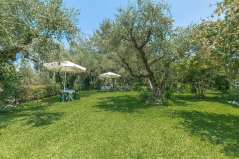 Ruassi Studios Zakynthos Greece
