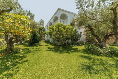 Ruassi Studios Zakynthos Greece